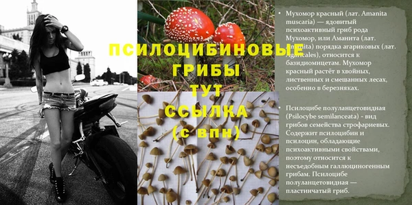 кокаин колумбия Белокуриха