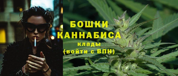mdpv Новозыбков